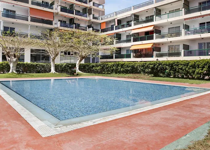 Stunning Holidays, Large Terrace On The Sea Los Cristianos (Tenerife)